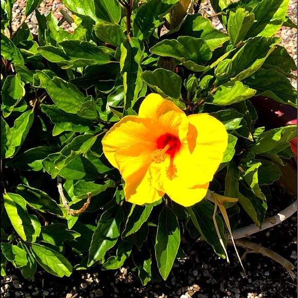 Meet your Posher, Wendy - Picture 1 of 1